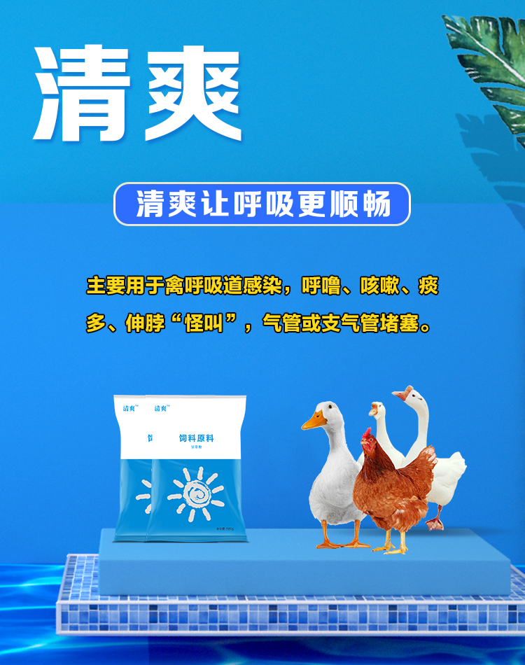 雞呼吸道治療推薦“清爽”