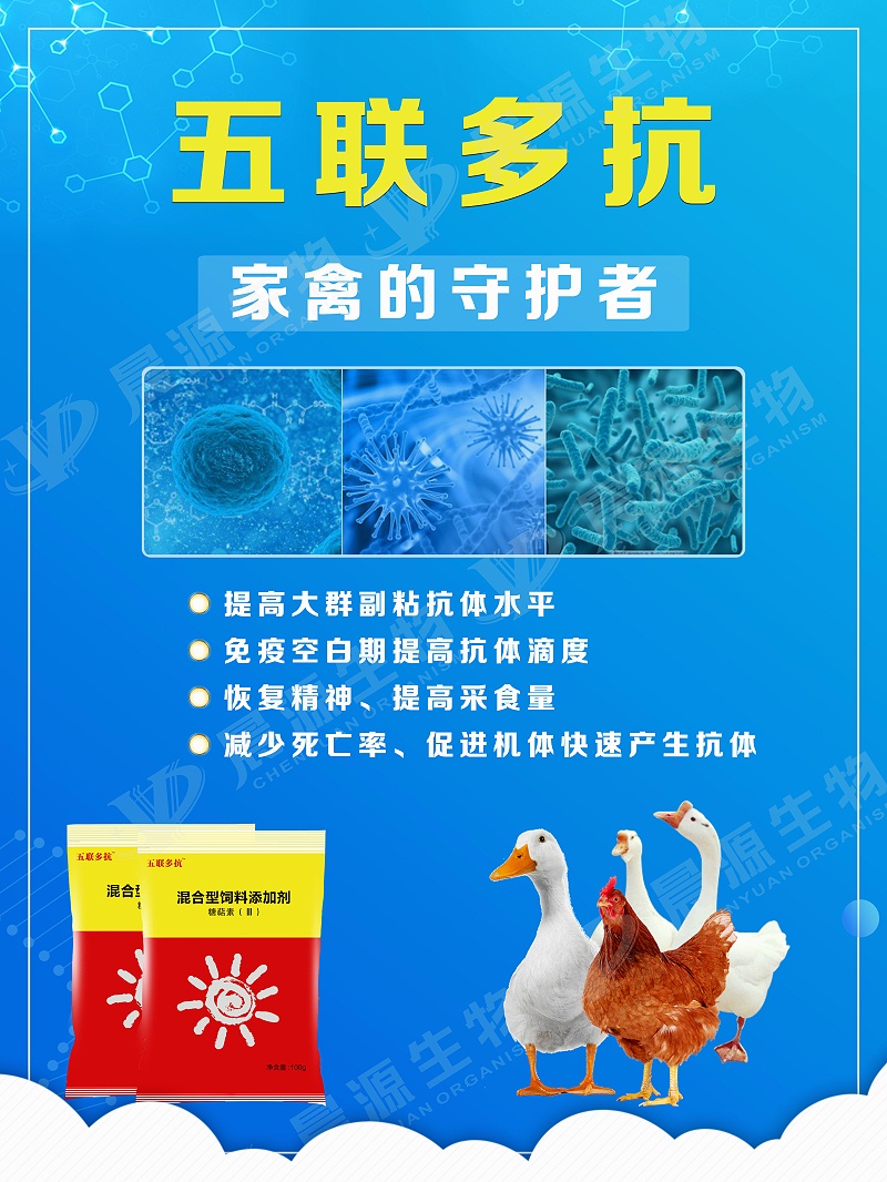 五聯(lián)多抗2(1)