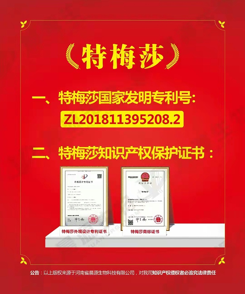 特梅莎專利證書