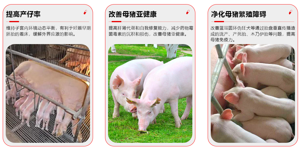 全成勿憂--妊娠專用 產(chǎn)品功效