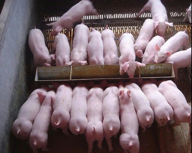 微信圖片_20210604173258