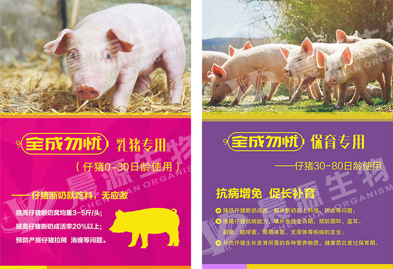 全程勿憂--乳豬專用、保育專用