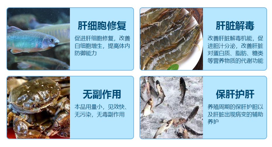 水產飼料添加劑肝膽美通產品功效