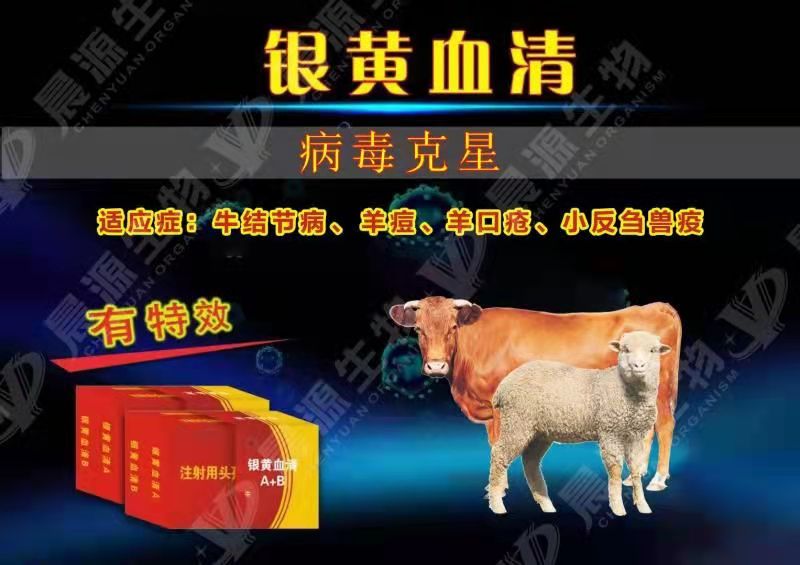 銀黃血清-牛結節(jié)病治療