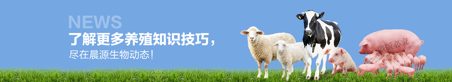 了解更多養(yǎng)殖知識(shí)技巧 盡在晨源生物動(dòng)態(tài)