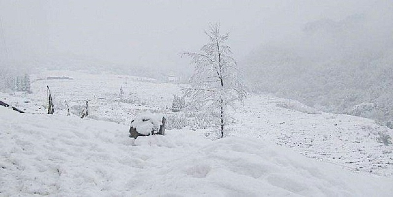 大雪天氣，養殖戶該儲備飼料添加劑啦