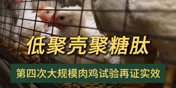 晨源生物“低聚殼聚糖肽”第四次大規模試驗再證實效