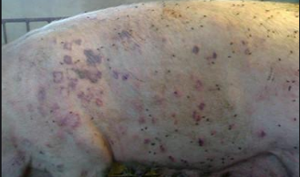 微信圖片_20210605174327