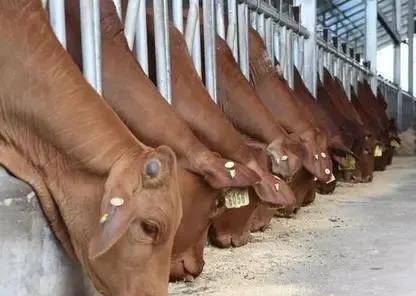 微信圖片_20210605173740