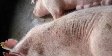 微信圖片_20210605174307