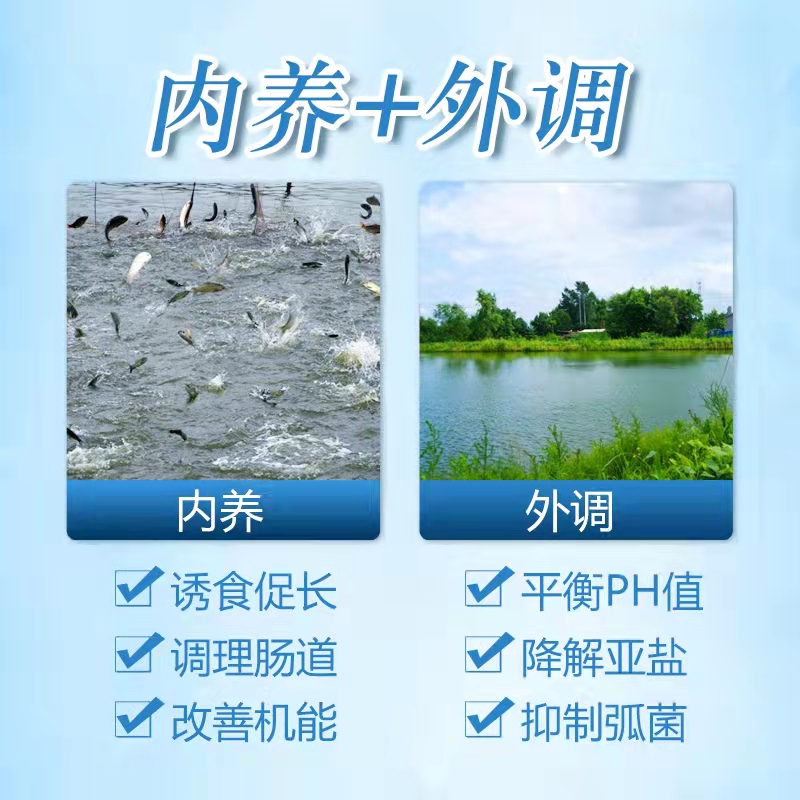 補菌活水-乳動力