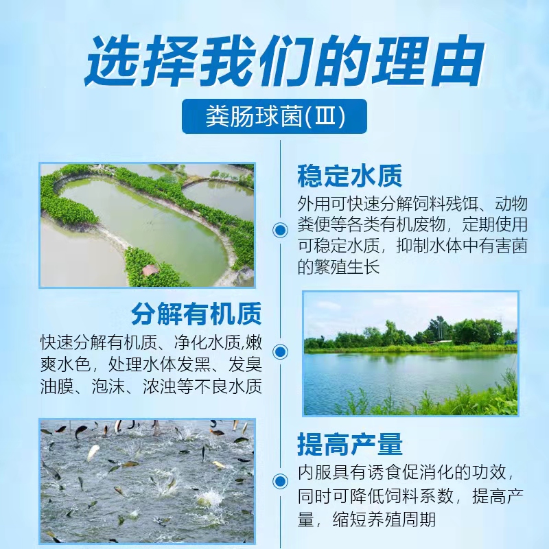 補菌活水-乳動力