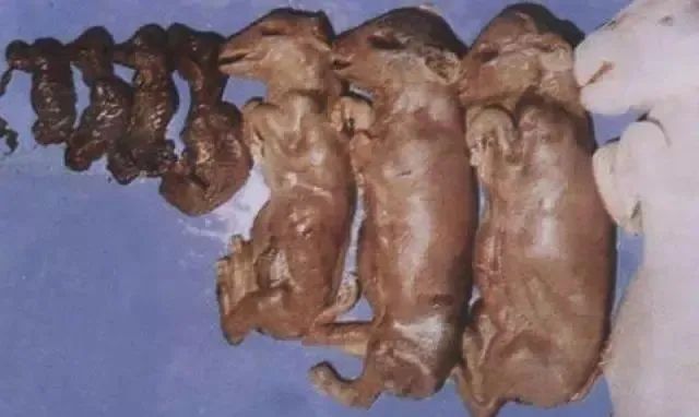 微信圖片_20210312154650