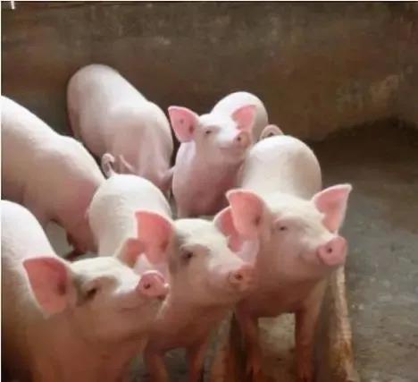 微信圖片_20210518174731