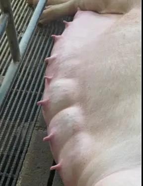 微信圖片_20210530152301