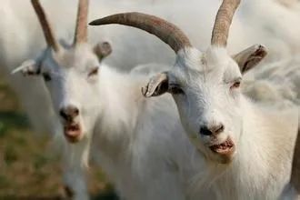 微信圖片_20210716141821