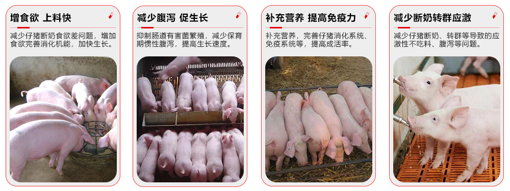 全程勿憂-保育專用 產(chǎn)品功效