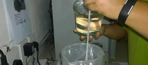 豬場產(chǎn)仔率低原因