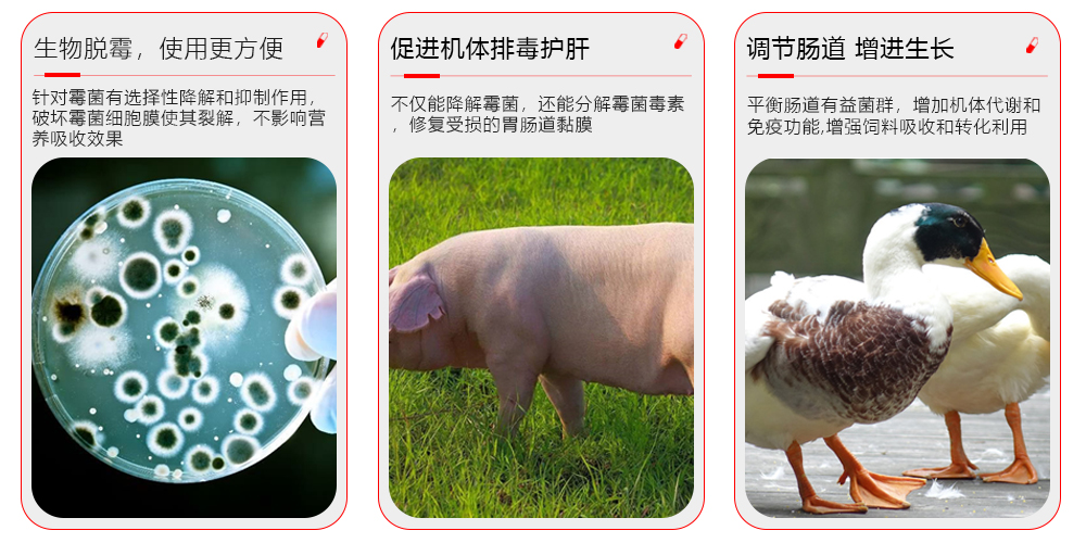 常無(wú)霉作用用途