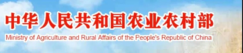 農業(yè)農村部：春節(jié)生豬上市將增加！
