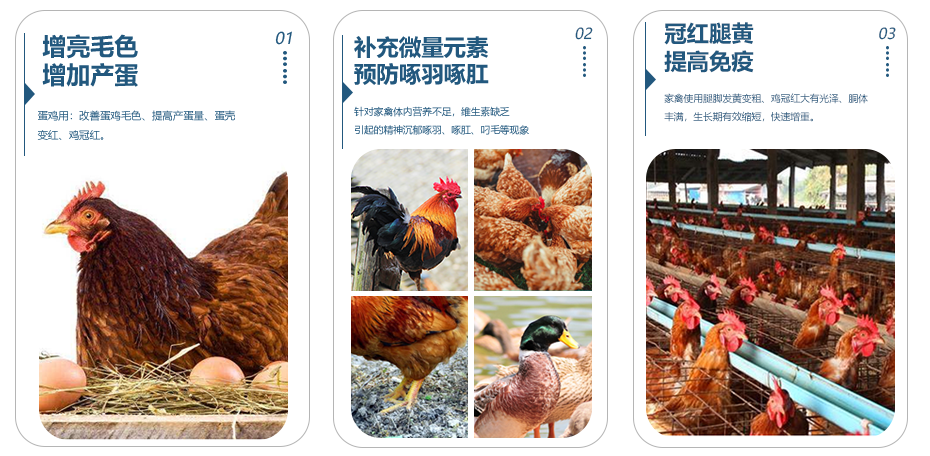 冠狀紅產品功效