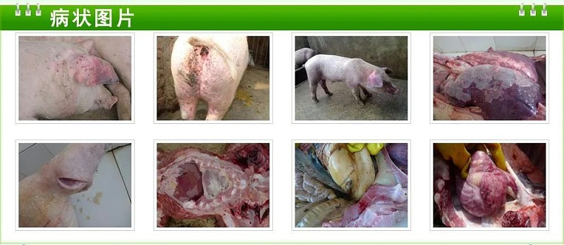 微信圖片_20210706155534