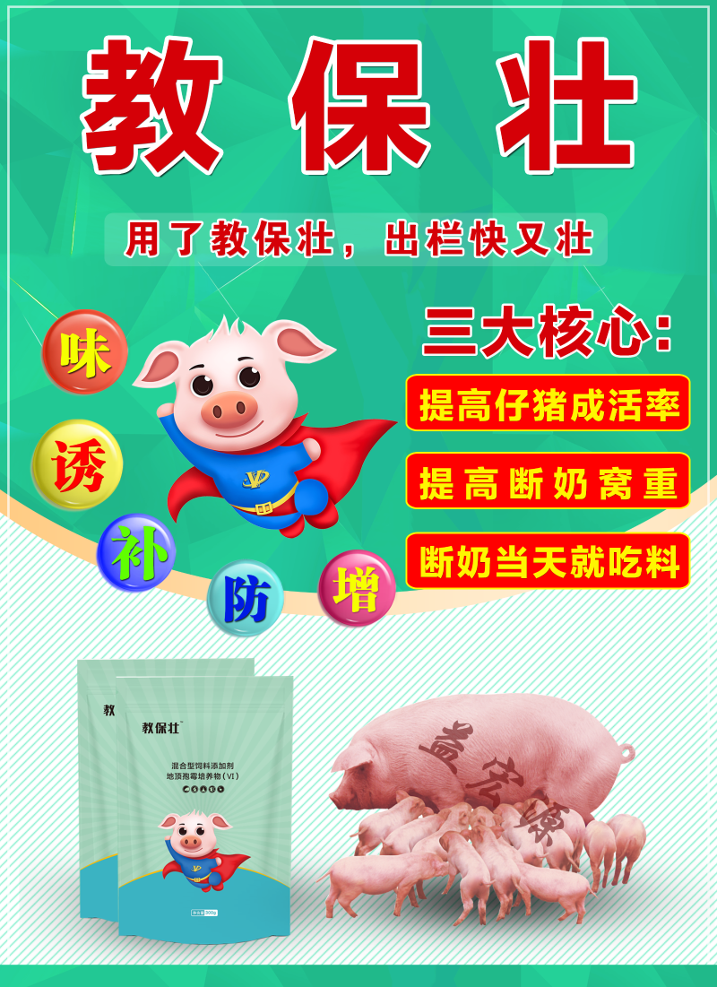 教保壯1