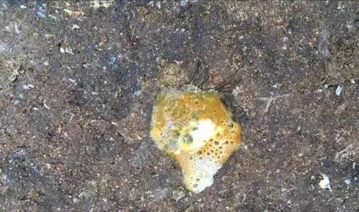 微信圖片_20210528104148