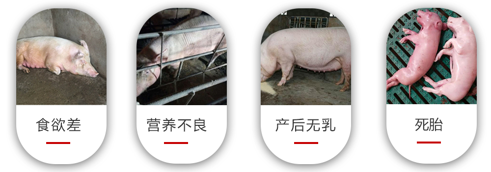 常見的養殖問題